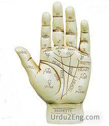 palmistry Urdu Meaning