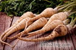 parsnip Urdu Meaning