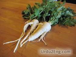 parsnip Urdu Meaning