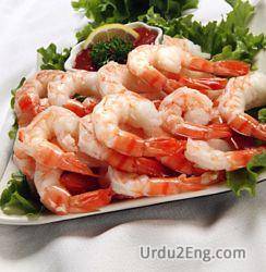 shrimp Urdu Meaning