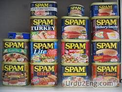 spam Urdu Meaning