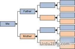 stemma Urdu Meaning