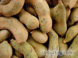 tamarind Urdu Meaning