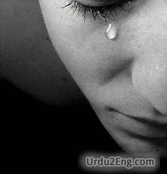 tear Urdu Meaning