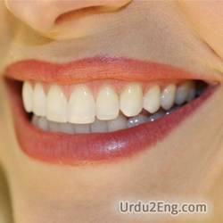 tooth Urdu Meaning