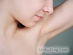 Underarm Urdu Meanings