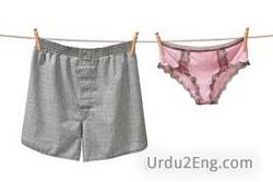 underwear Urdu Meanings