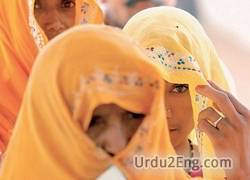 veil Urdu Meaning