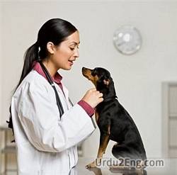 veterinarian Urdu Meaning