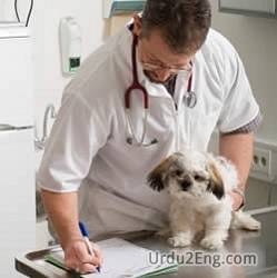 veterinarian Urdu Meaning