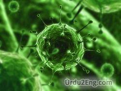 virus Urdu Meaning