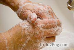 wash Urdu Meaning