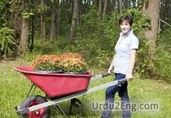 wheelbarrow Urdu Meanings